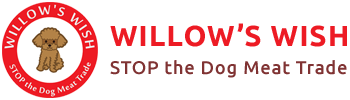 Willow's Wish Logo